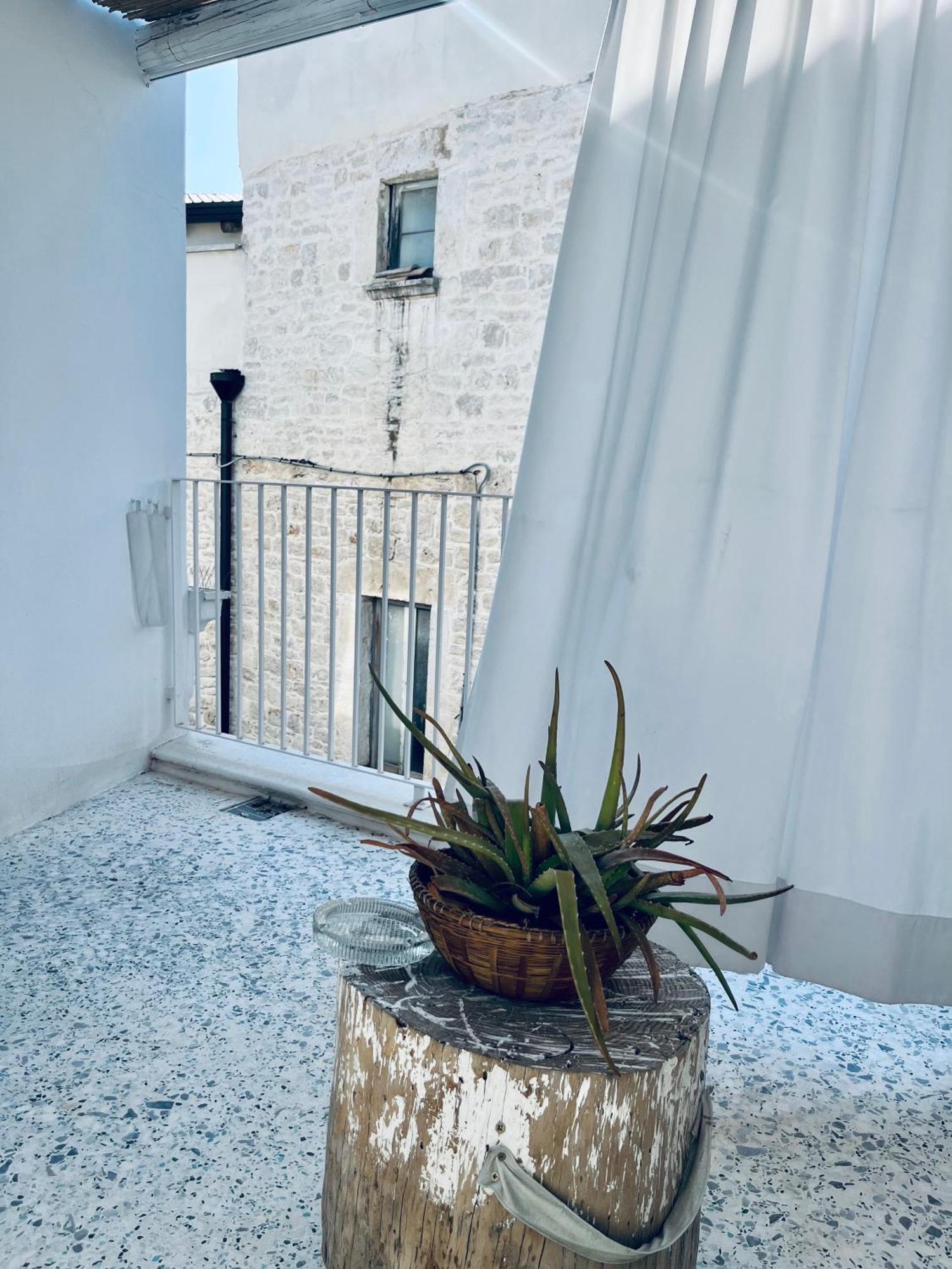Hydria Guest House Art Gallery Acquaviva delle Fonti Eksteriør billede
